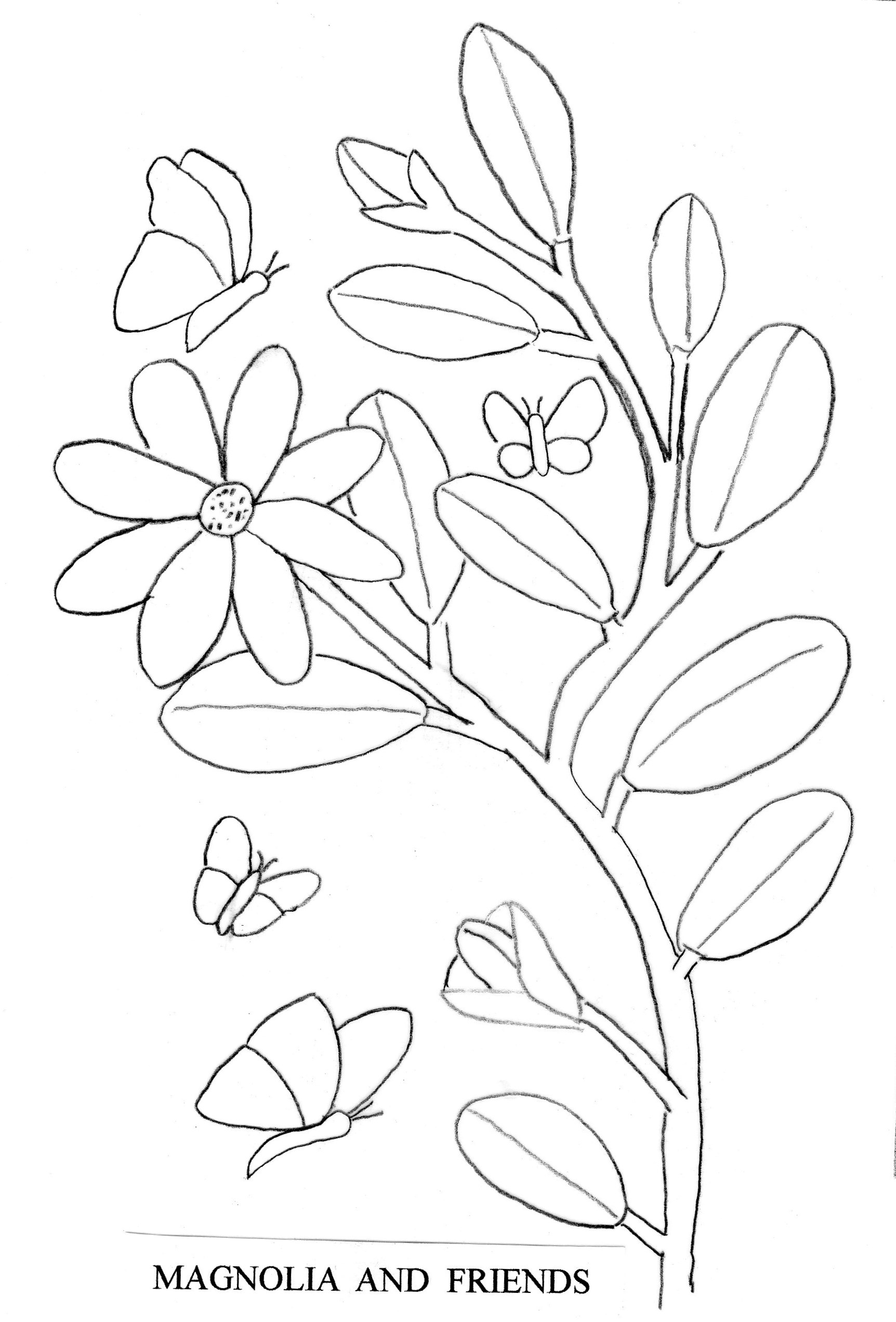 magnolia pattern